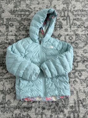 The North Face Mint Blue Hooded Puffer Jacket
